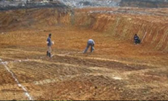 �����z�y(c��)